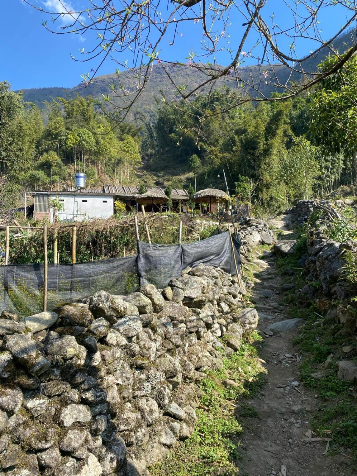 Sue Pa Family Trekking Homestay ซาปา ภายนอก รูปภาพ