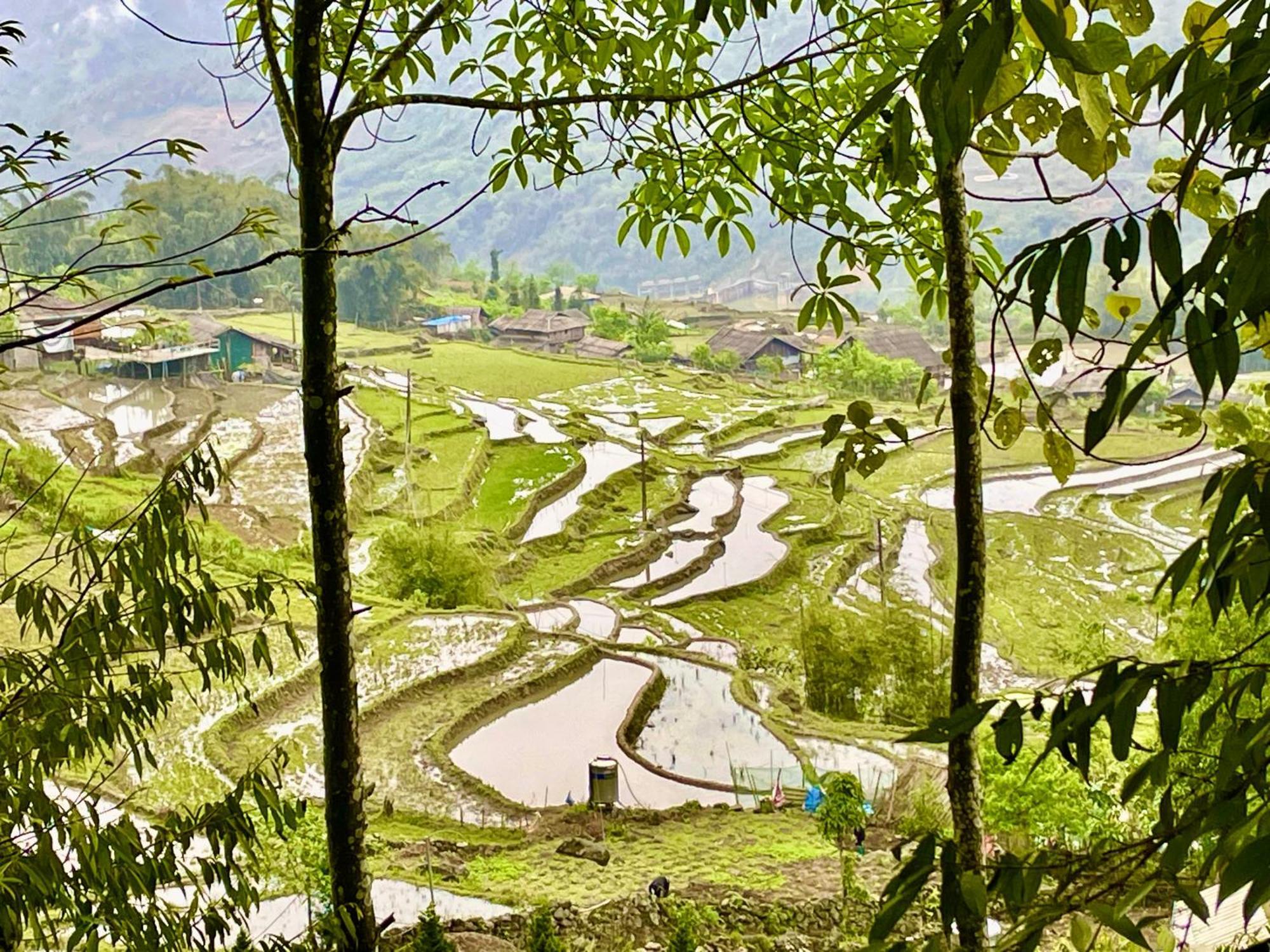 Sue Pa Family Trekking Homestay ซาปา ภายนอก รูปภาพ