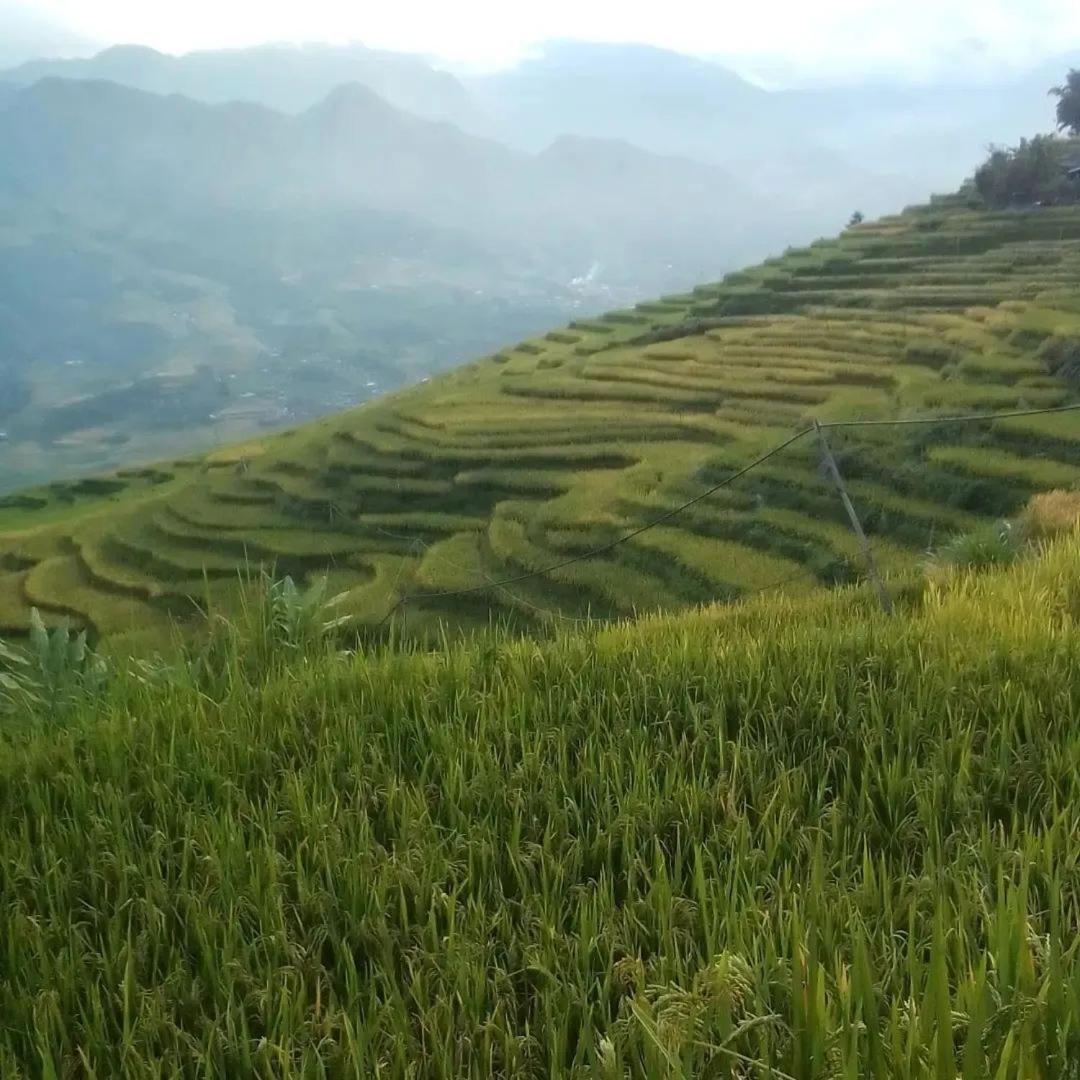 Sue Pa Family Trekking Homestay ซาปา ภายนอก รูปภาพ