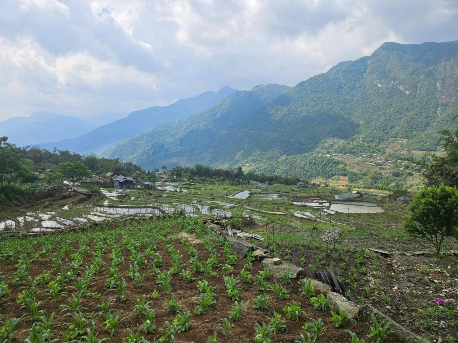 Sue Pa Family Trekking Homestay ซาปา ภายนอก รูปภาพ